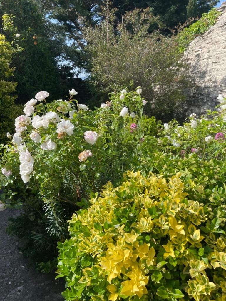 La Borie En Provence Bed & Breakfast Gordes Luaran gambar