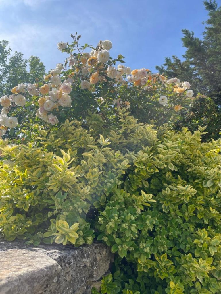 La Borie En Provence Bed & Breakfast Gordes Luaran gambar