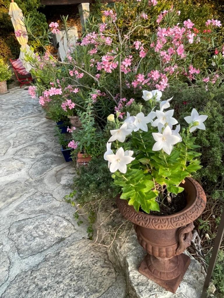 La Borie En Provence Bed & Breakfast Gordes Luaran gambar